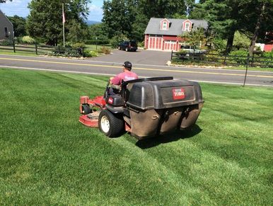 Lawn Cuts and Grounds Maintenance by Regency Landscape, LLC