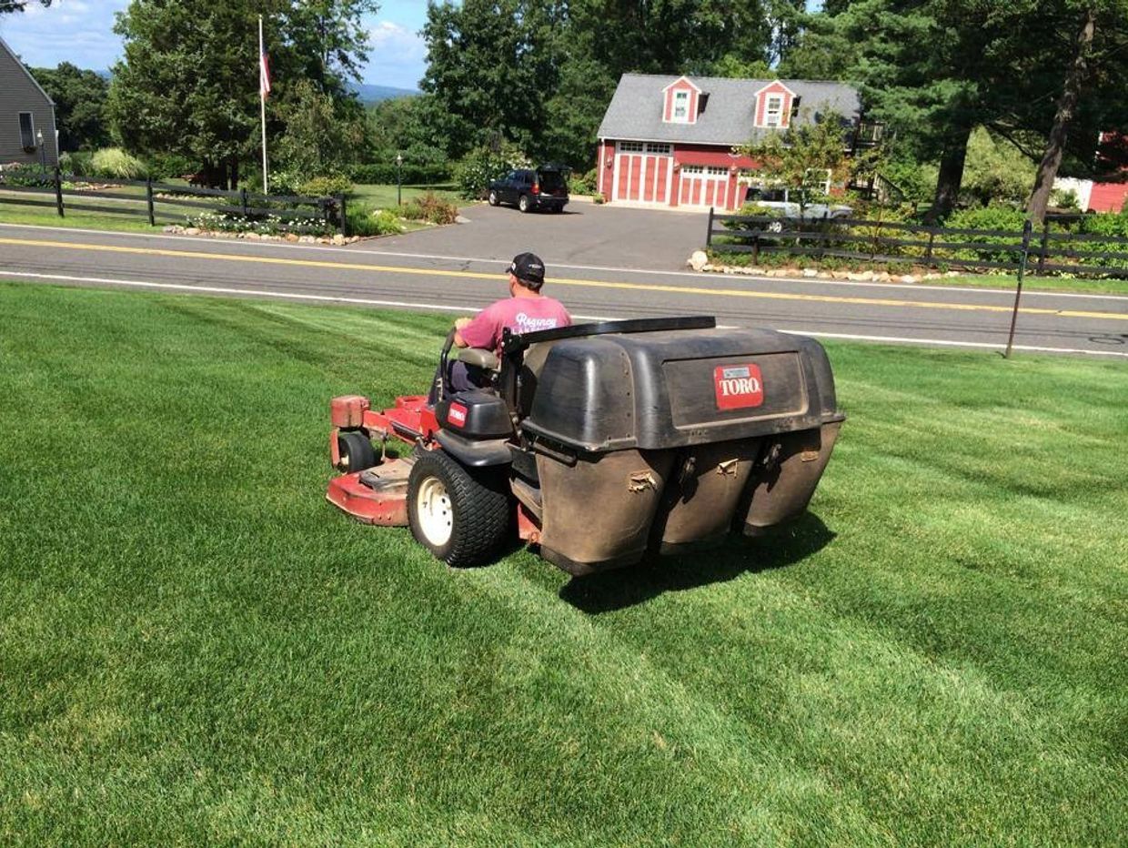 Lawn Maintenance Hunterdon County, NJ