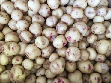 potatoes