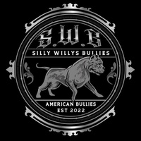 sillywillysbullies