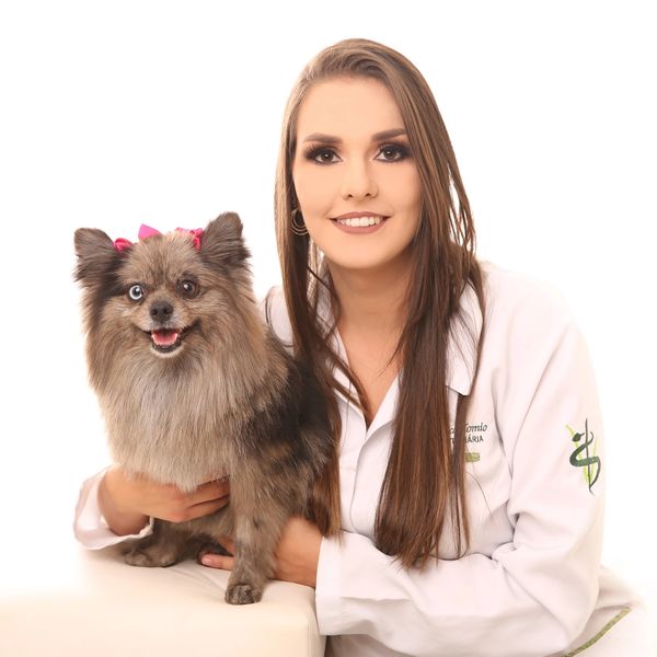 Pet Shop Perto Centro - Pet Shop com Cromoterapia - Care Pet