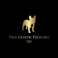 True Genetic Frenchies