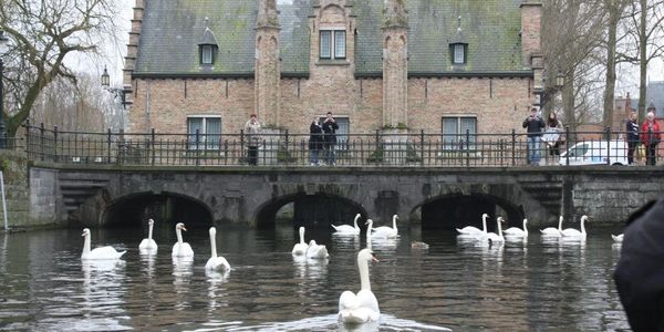 ponte linda na cidade de bruges com o seu guia