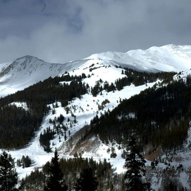 Snow-covered mountain peaks with scattered pine trees under a cloudy sky.