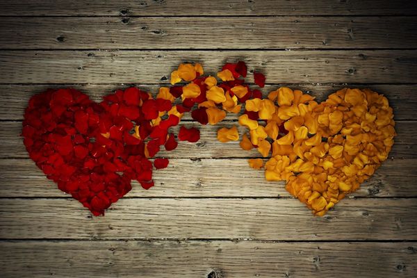Two heart shapes made of red and orange flower petals on wooden surface.