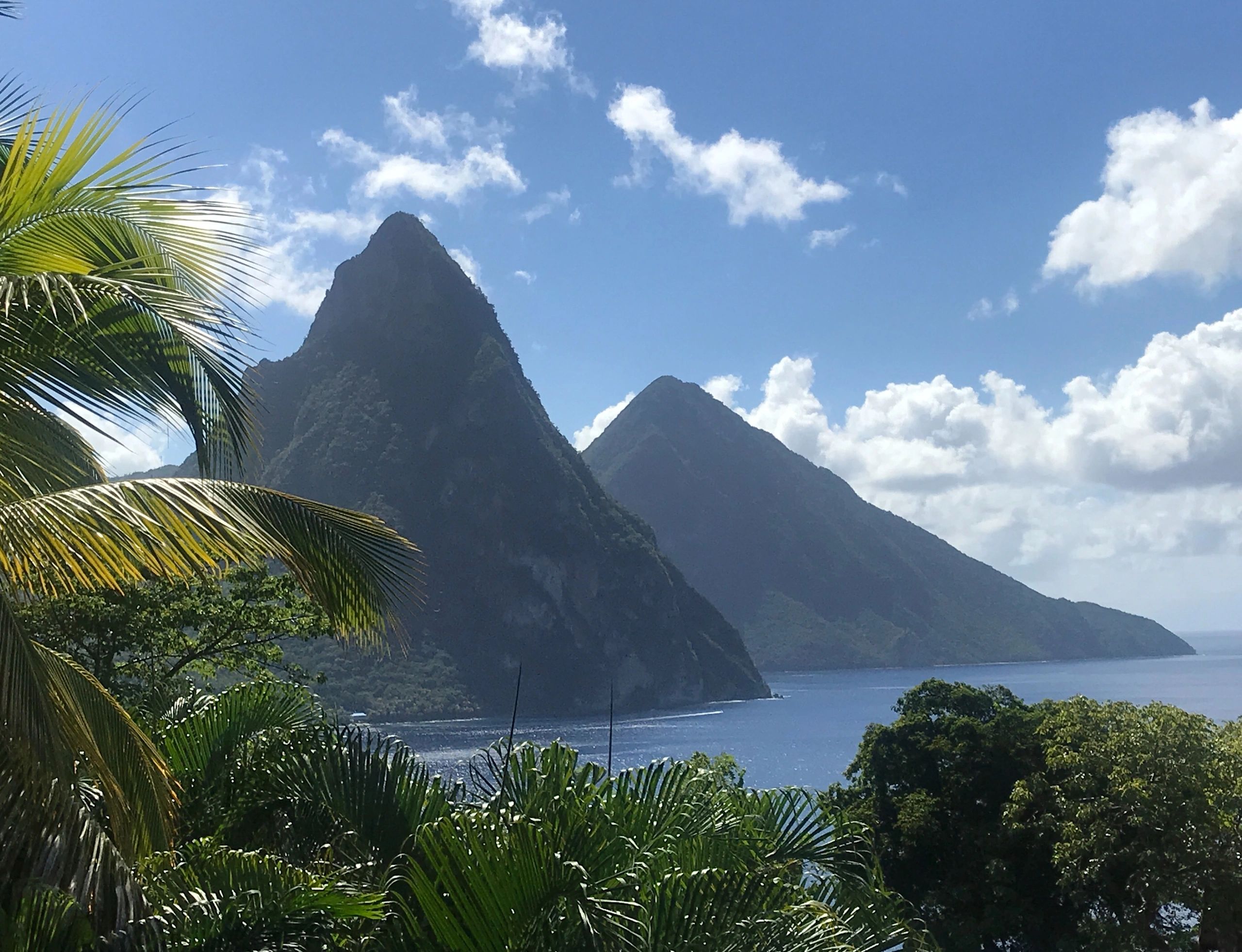 Treehouse Villas St Lucia St. Lucia Villa, Guest House, St Lucia