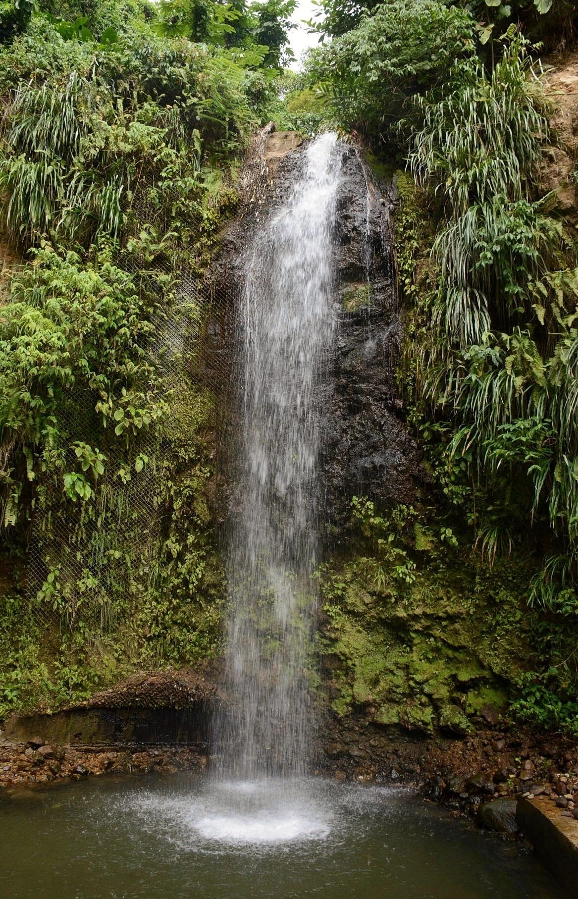 Explore Two Very Different Waterfalls in Soufriere, St. Lucia