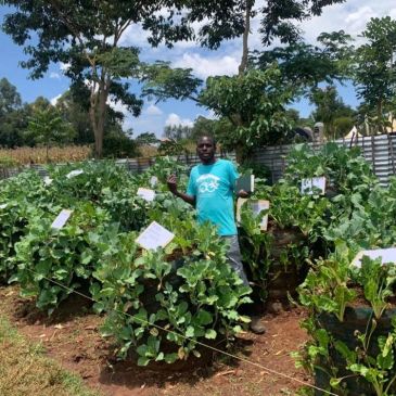 Man standing in a garden with healthy plants.
