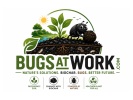 Bugs at Work