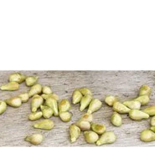 Grape Seed Oil