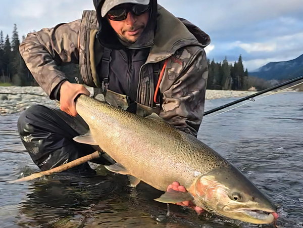 steelhead, fishing, fly fishing, nature, spey fishing, salmon, trout, fish, fly, lures