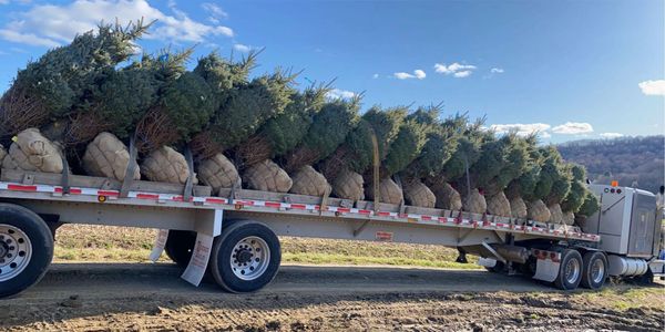 Contact us today to schedule a delivery!