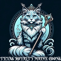 Texas Royalty Maine Coons