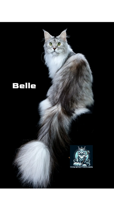 Belle