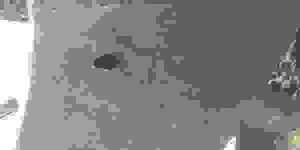 image2430