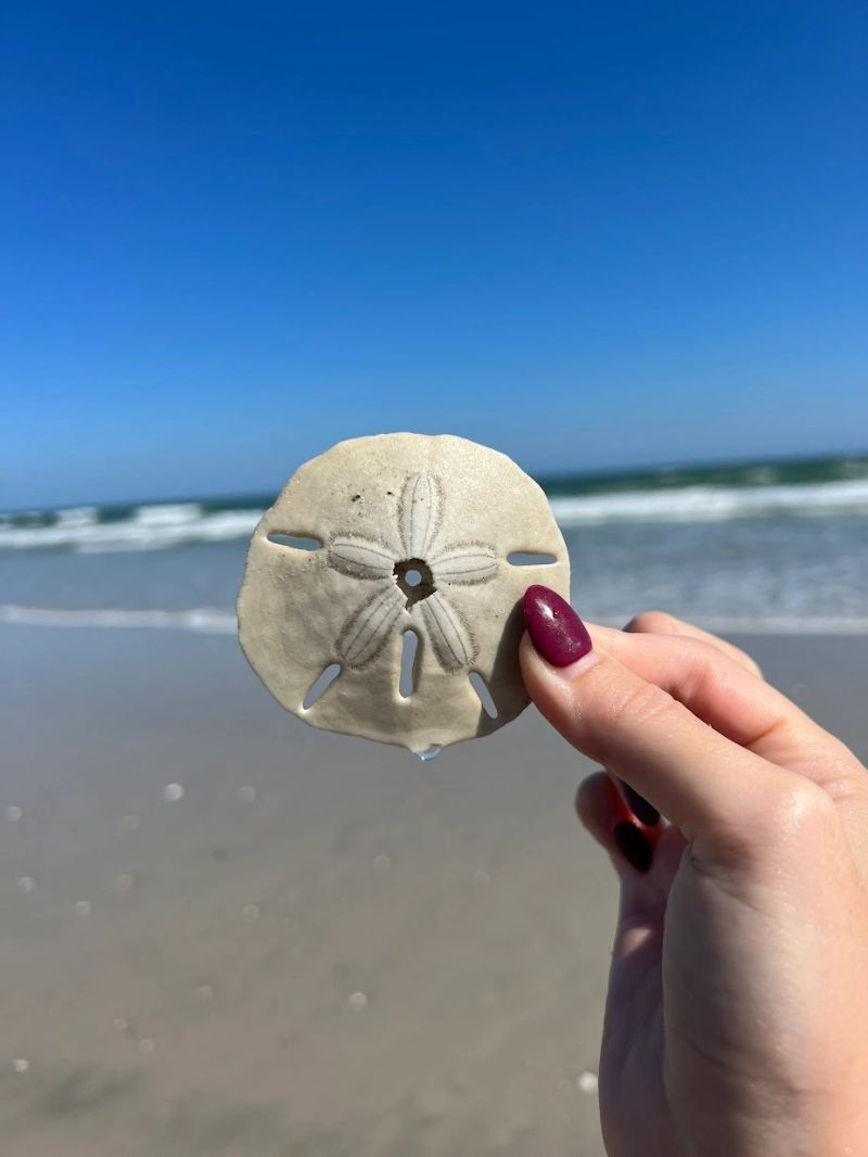 WS_Sand $.JPG