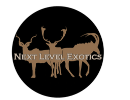 Next Level Exotics
