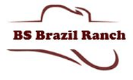 BS Brazil Ranch Inc