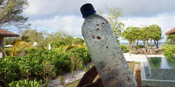 Plastic bottle found on a beach in the Seychelles. Remove plastic bottles from THe Philippines
