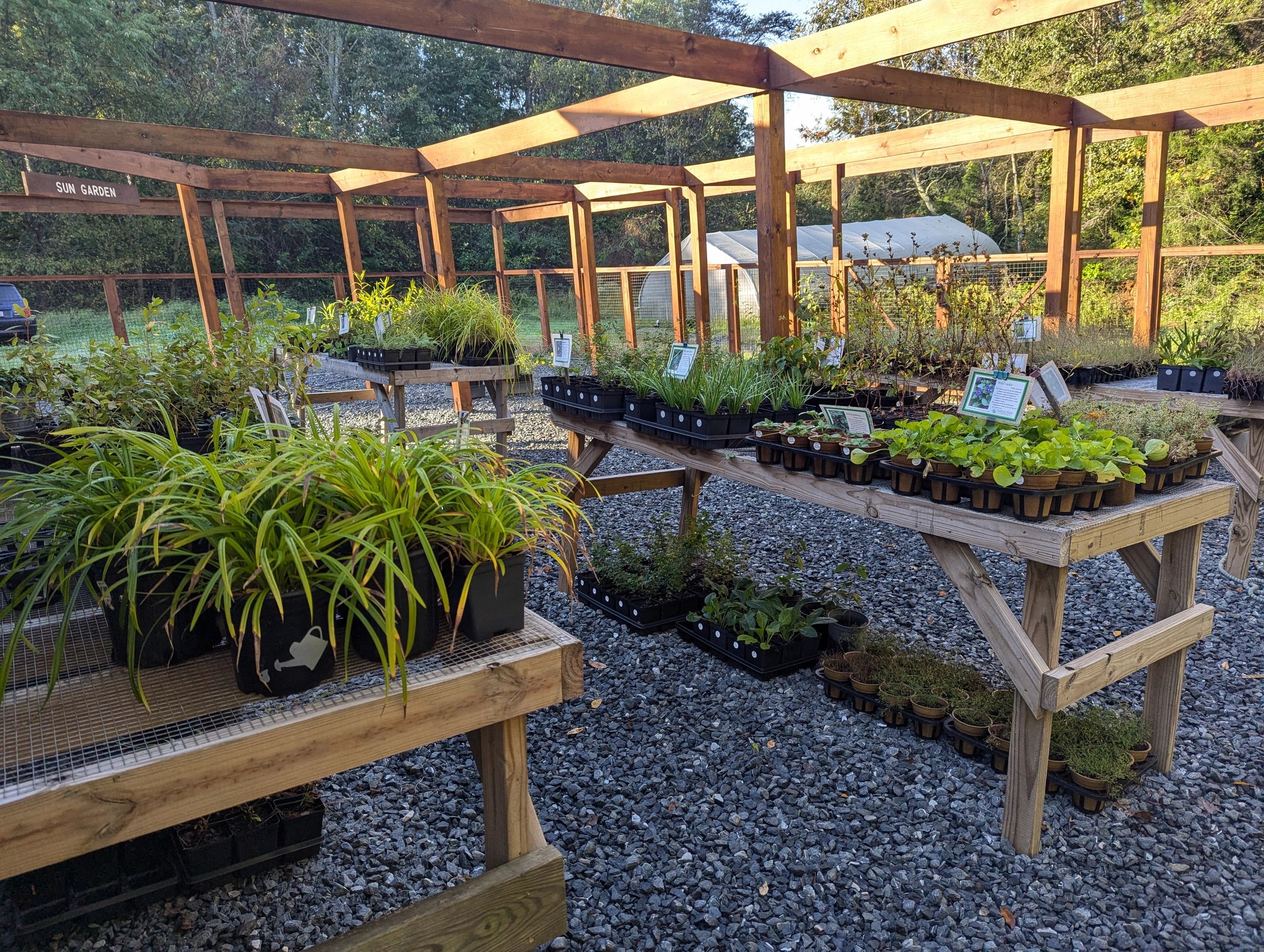 calendar-piedmont-plants-nursery