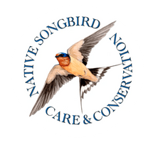 Native Songbird Care & Conservation