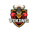 Viking Boxing Club