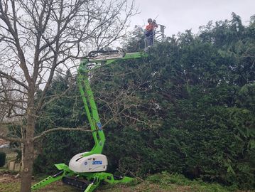 Tree pruning using a cherry picker.