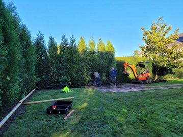 Large hedge planting.