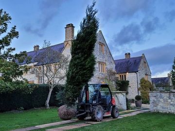 Planting Large Trees