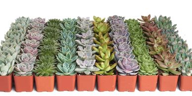 A scenic view of a sunset over a mountain range with vibrant colors in the sky.