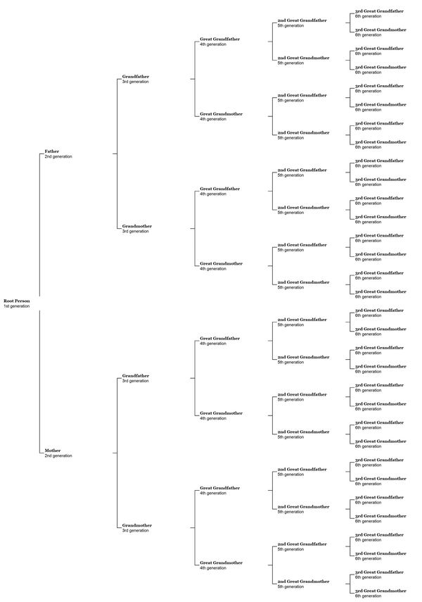 Grand Oak Family Tree Package