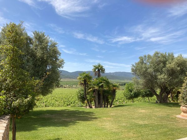 Francisco Gomez winery garden view near Salinas & Villena