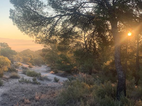 Early morning country walks from your country casita doorstep