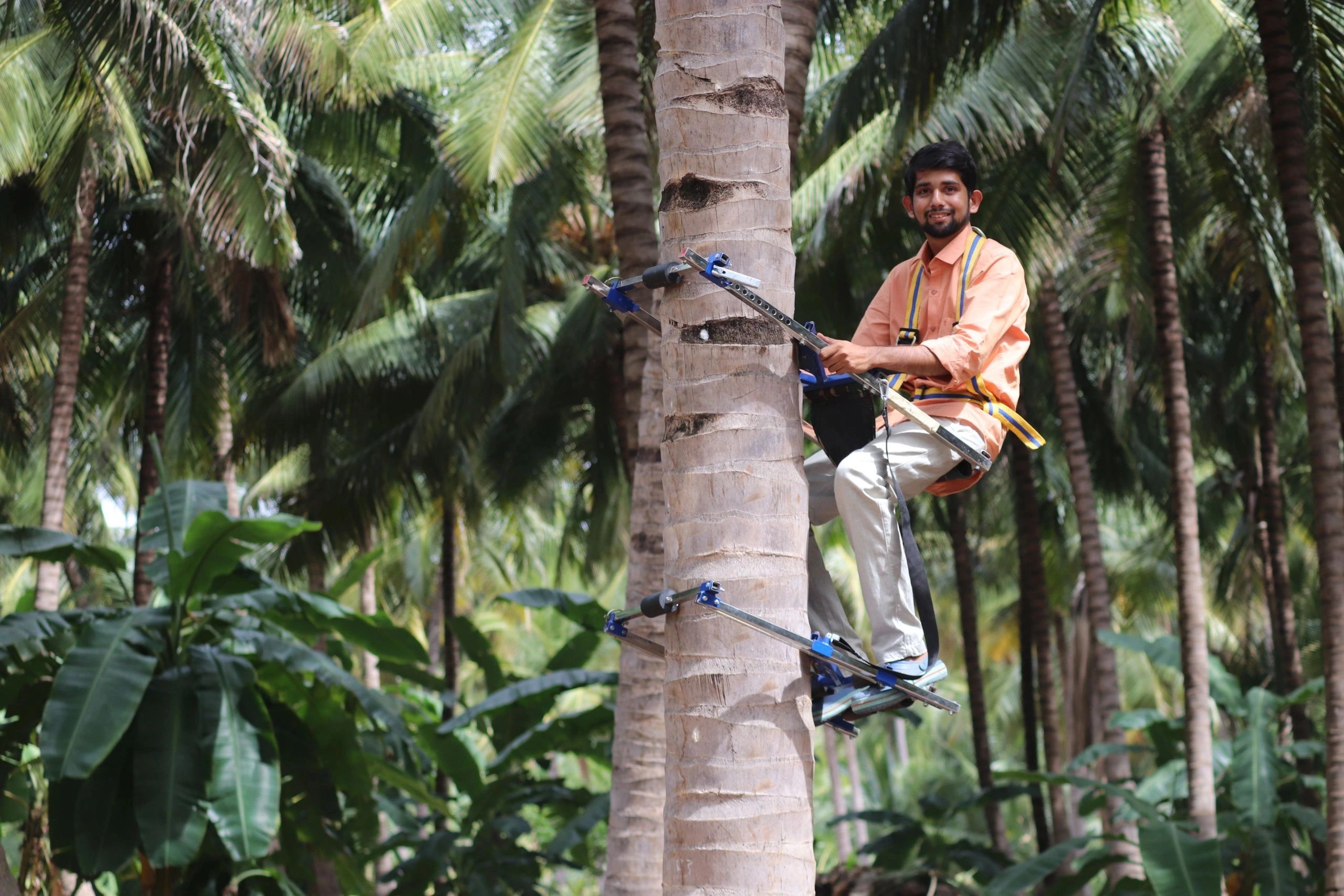 Multi Tree Climber R TECH ENGINEERING