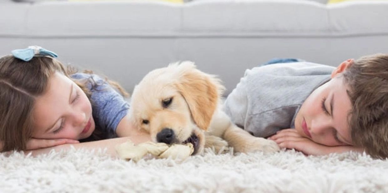 BROOKS CLEANING SERVICES
