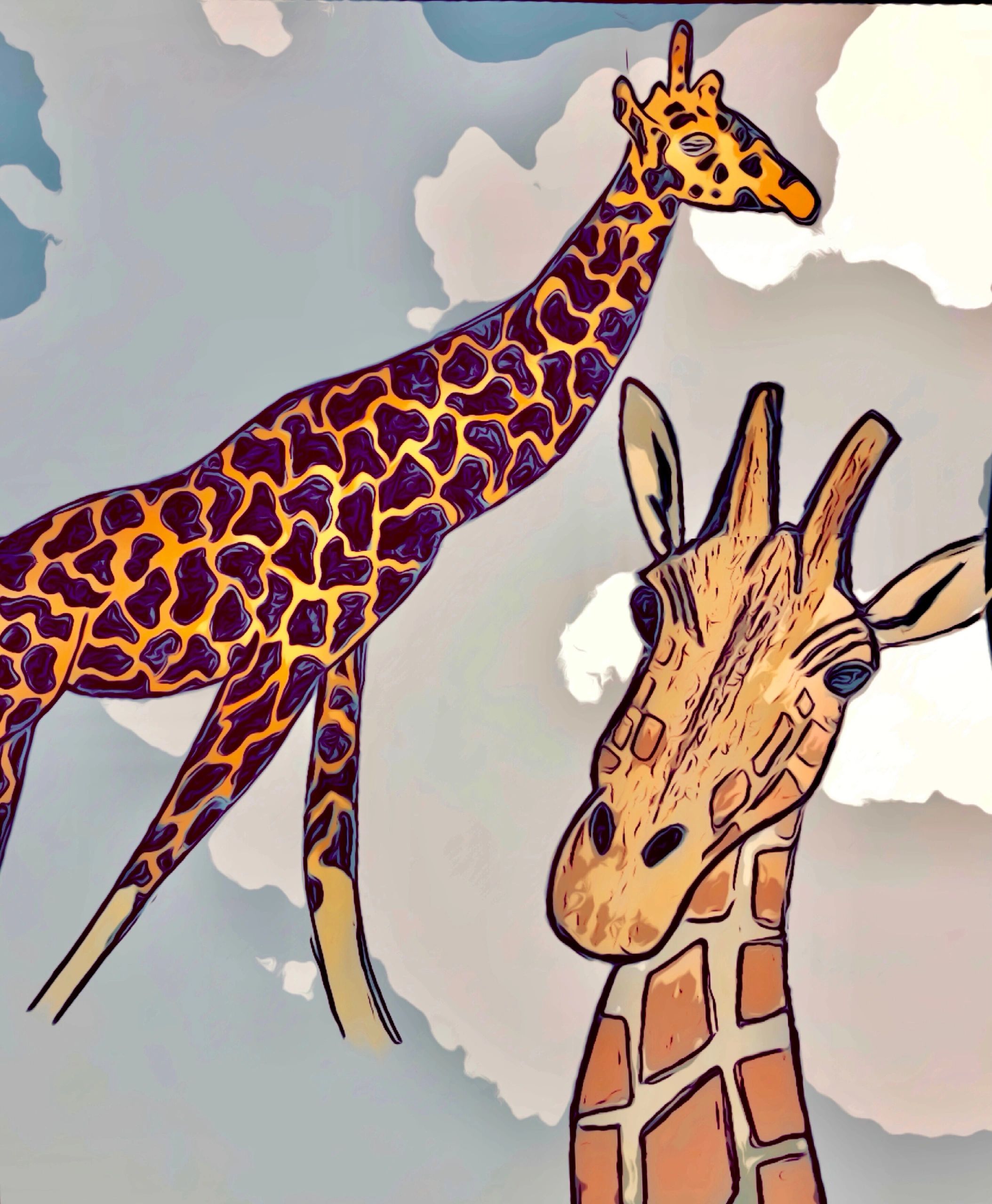 2 Giraffes