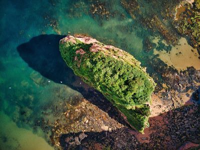 Aerial view of an island and surrounding littoral zone. Photo by Red Zeppelin.