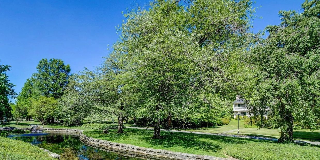 A serene park with lush green trees and a clear blue sky.