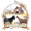 Crisps Caprines Nigerian Dwarf Goats 