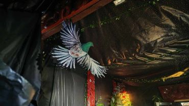 Matariki lights and decorations at Auckland Marae for Matariki celebrations 2026.