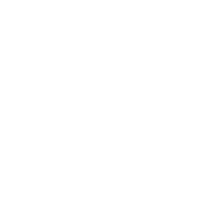 razorliteconsulting.com