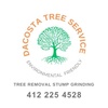 Dacosta tree Service