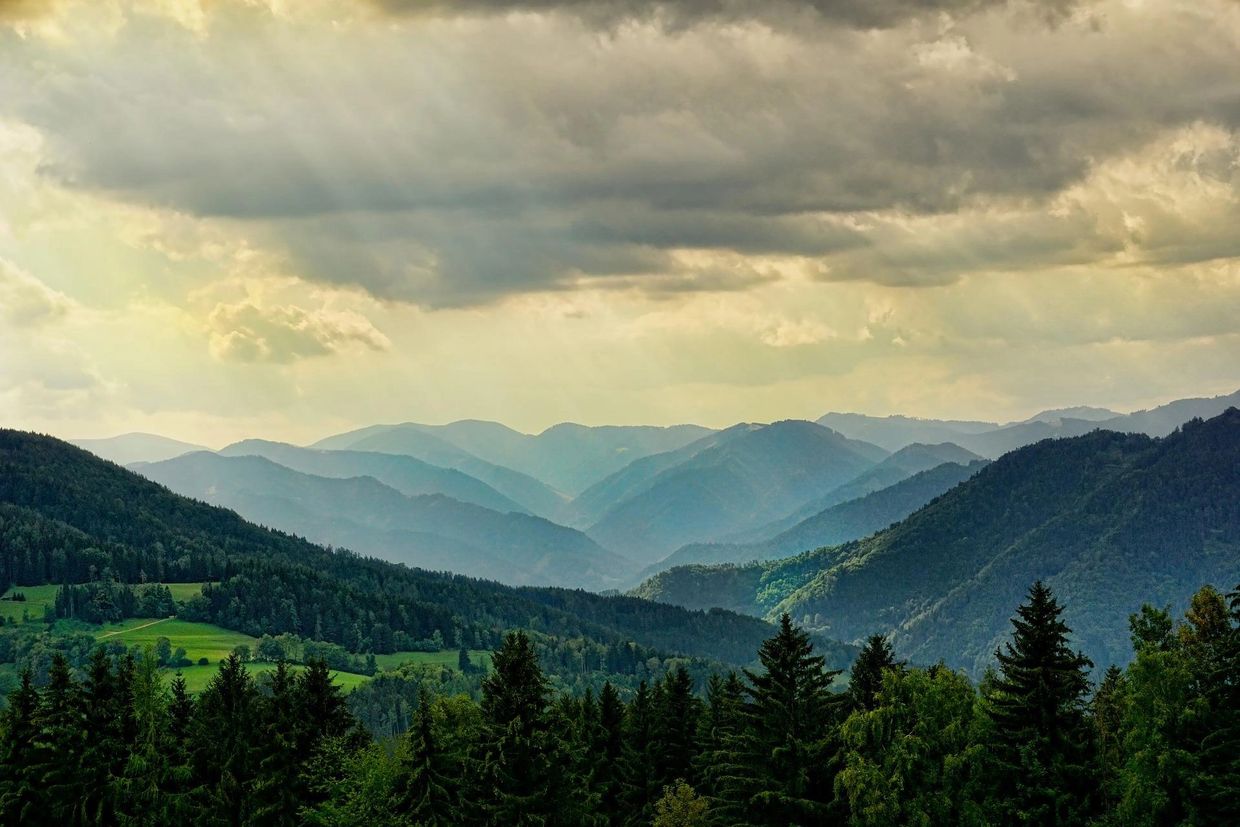 Sun rays shining over lush green mountains and forest.