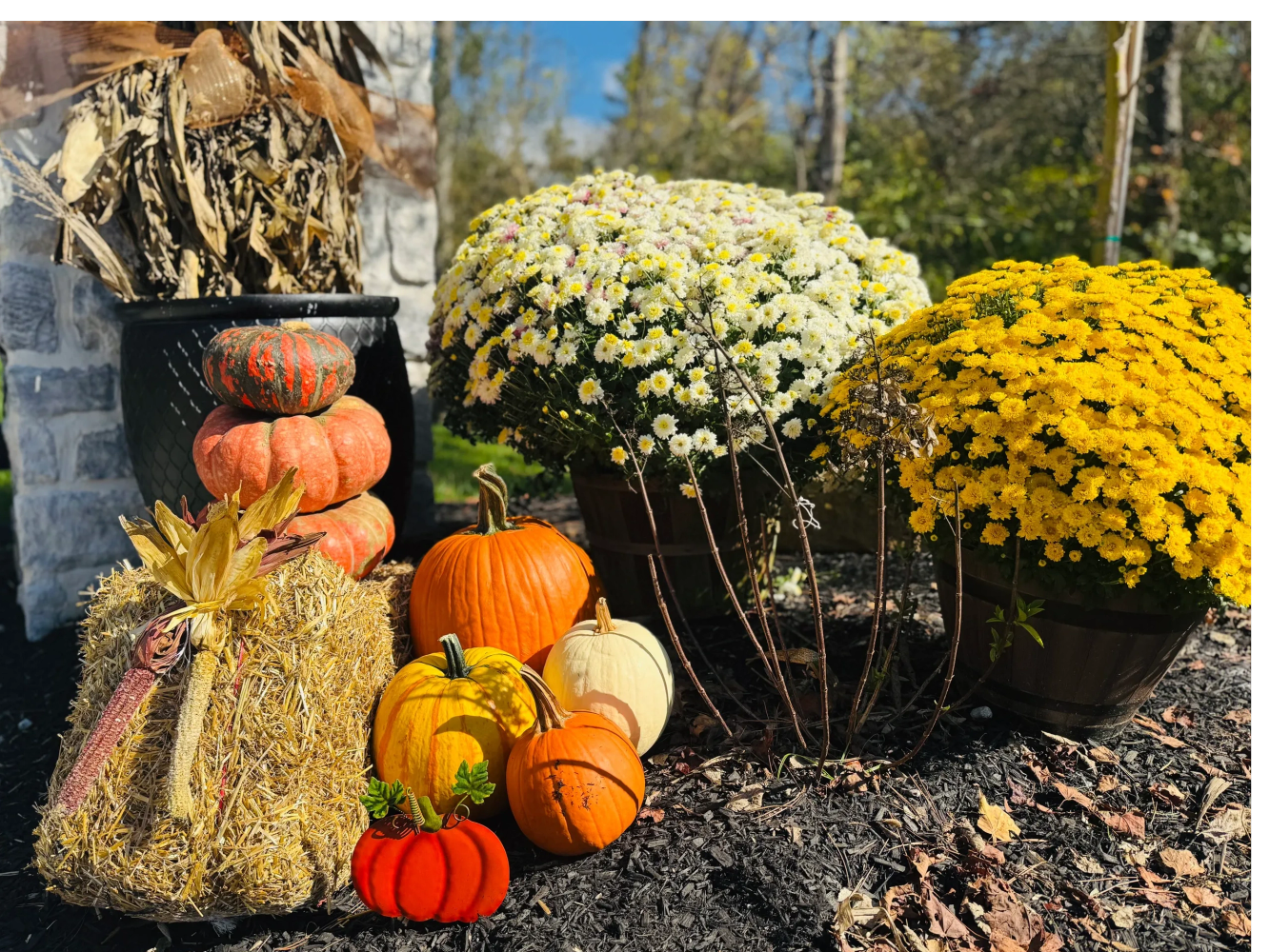 Fall-design