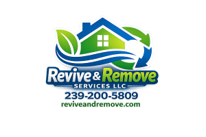reviveandremove.com 
