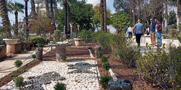Garden path with palm trees and a domed building in the background on a sunny day.