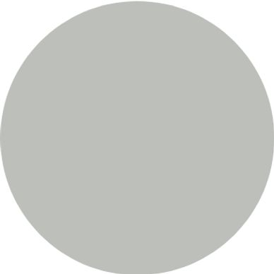 Colorbond Shale Grey