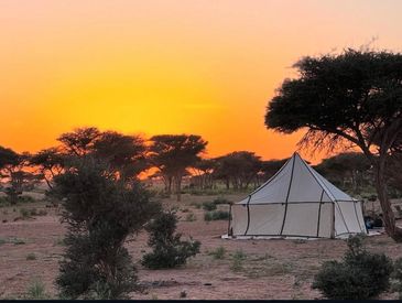 Horse treks and camping in the wild planes of the atlas mountains and the desert.