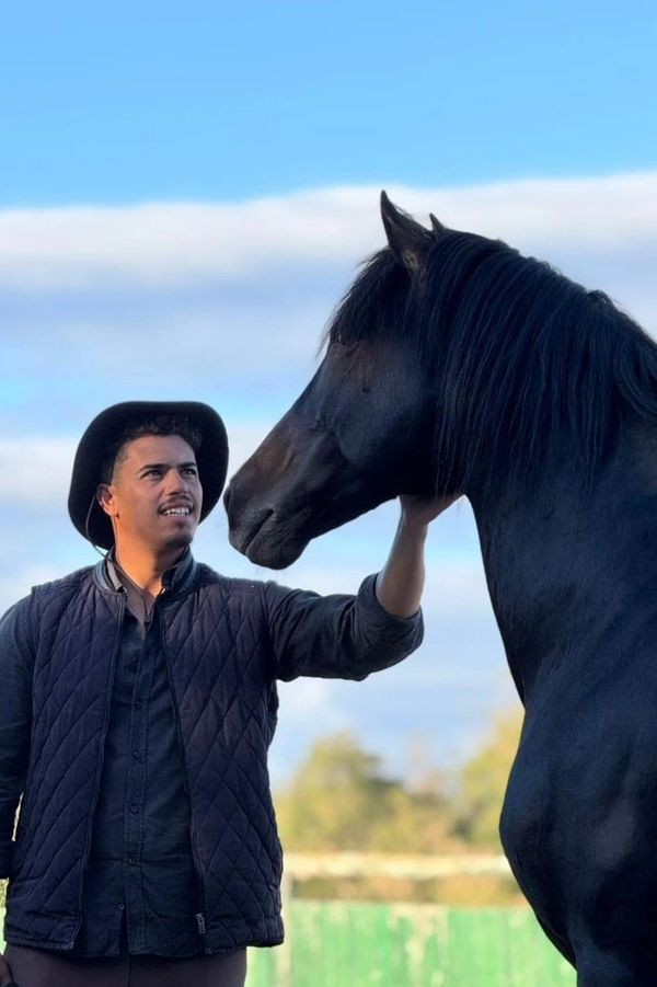 A man with his horse in total freedom